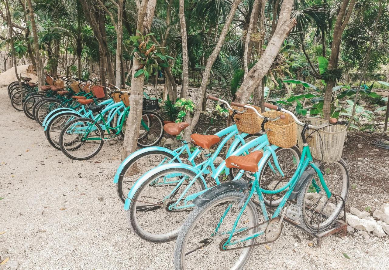 Akumal Natura Glamping Экстерьер фото