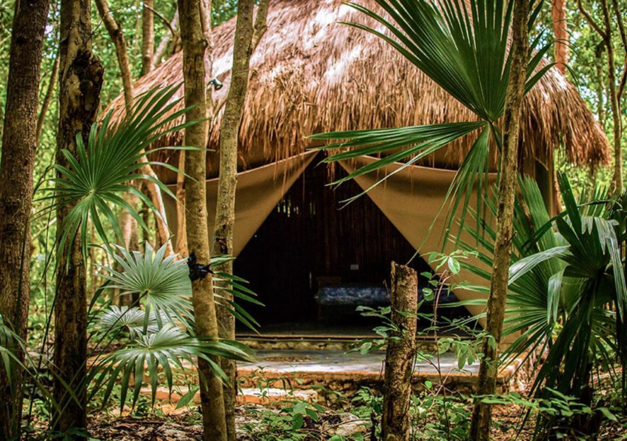 Akumal Natura Glamping Экстерьер фото